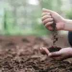 soil-preparation