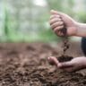 soil-preparation