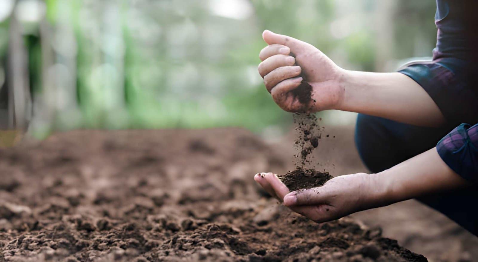 soil-preparation