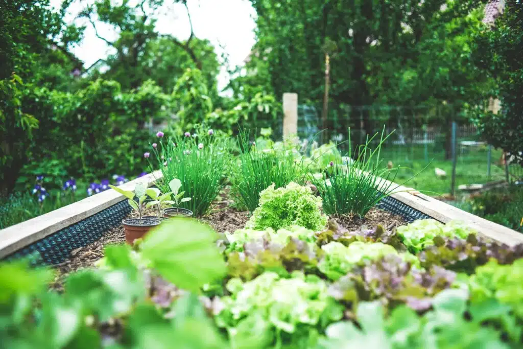 15 Small Backyard Vegetable Garden Ideas to Try This Season